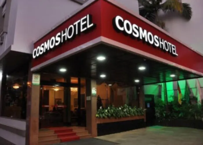  Cosmos